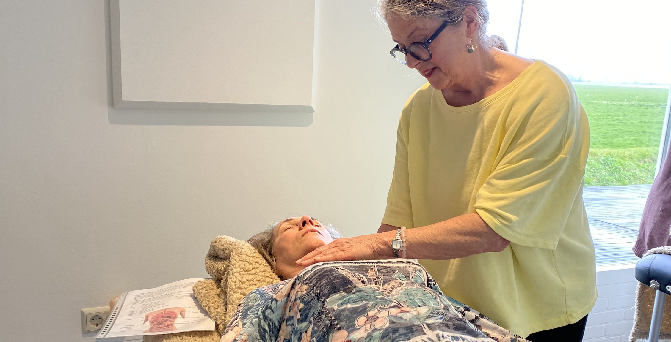 Wat leer je in de cursus Organen en chakra healing?