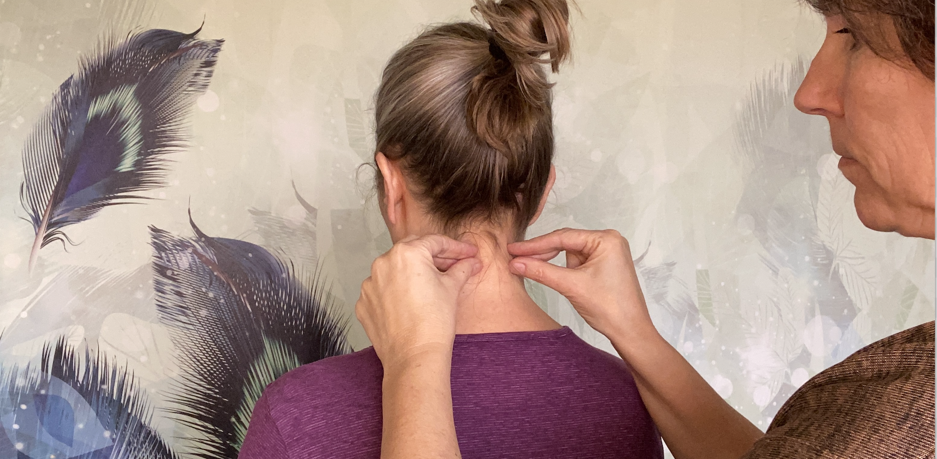 Prana healing - massabia trainingen